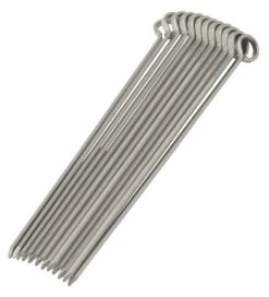 Oldenhof Vleesspies 40 Cm Rvs 12 Stuks