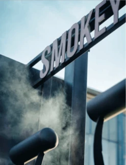 Smokey Goodness - Het Ultieme BBQ Boek -Bbq Promotiewinkel schermafbeelding 2021 03 24 om 12.42.46