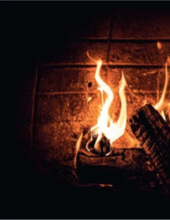 Smokey Goodness - Burgers & BBQ Bites -Bbq Promotiewinkel schermafbeelding 2021 03 24 om 13.25.05