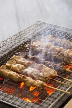 Oldenhof Konro Grill Diatomite Japanse Barbecue B-9 31 X 23 X 20 Cm 7 Oldenhof Konro Grill Diatomite Japanse Barbecue B-9 31 X 23 X 20 Cm -Bbq Promotiewinkel shutterstock 556753543 2